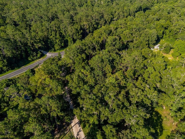 553 Rock Rd, Crawfordville, FL 32327 - photo 32