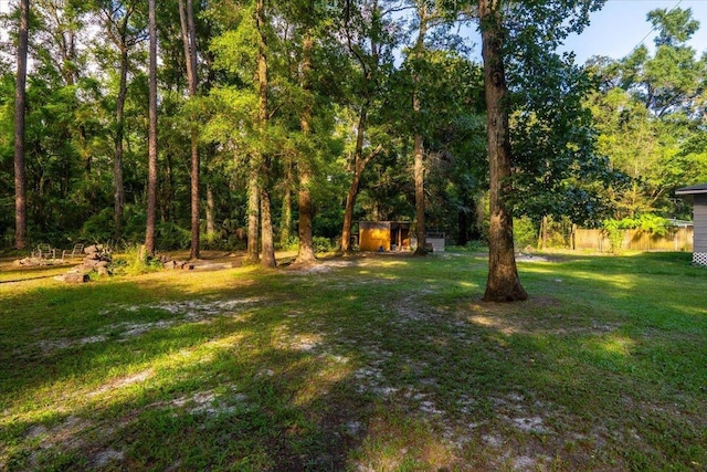 553 Rock Rd, Crawfordville, FL 32327 - photo 5