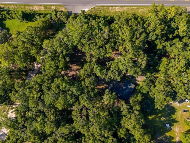 553 Rock Rd, Crawfordville, FL 32327 - photo 28
