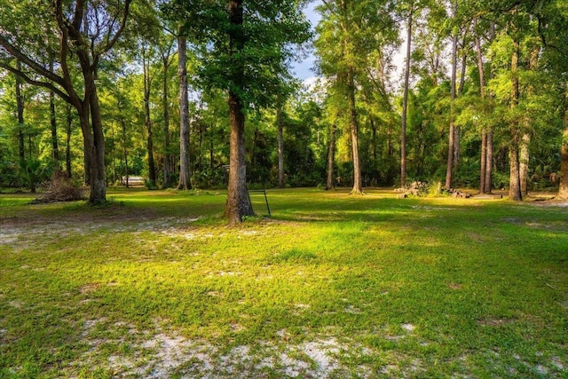 553 Rock Rd, Crawfordville, FL 32327 - photo 4