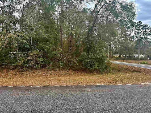 Listing photo 3 for LOT1 Luther Hall Rd, Tallahassee FL 32310