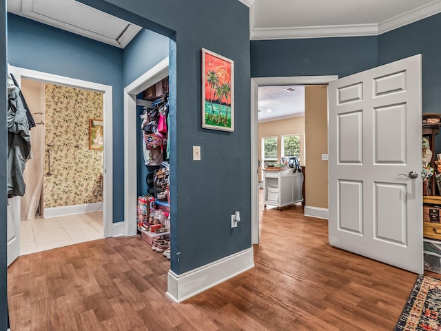 326 Willis Rd Unit 0, Tallahassee, FL 32303 - photo 15