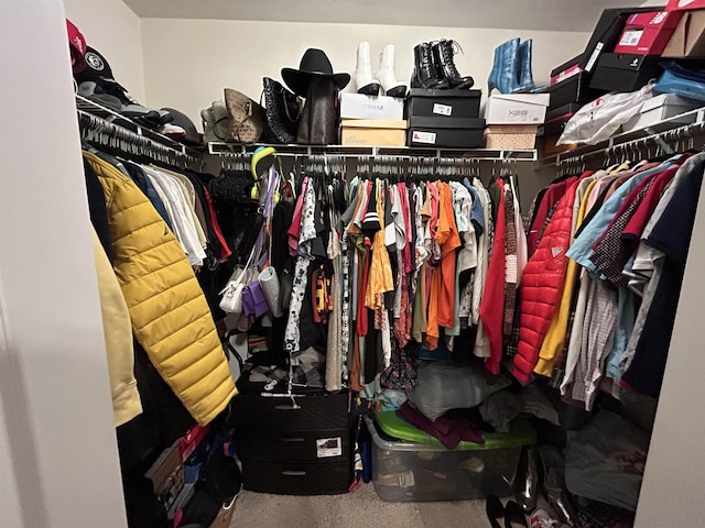 spacious closet featuring carpet