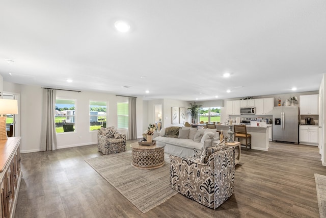 living room with wood-type flooring and a healthy amount of sunlight