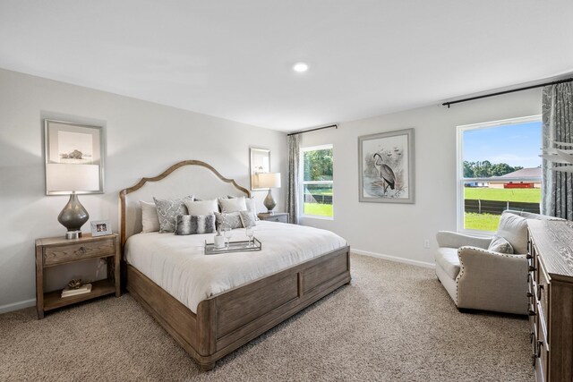 view of carpeted bedroom