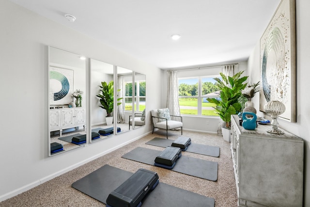 workout area with carpet flooring