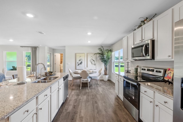 kitchen with dark hardwood / wood-style flooring, stainless steel appliances, sink, and plenty of natural light