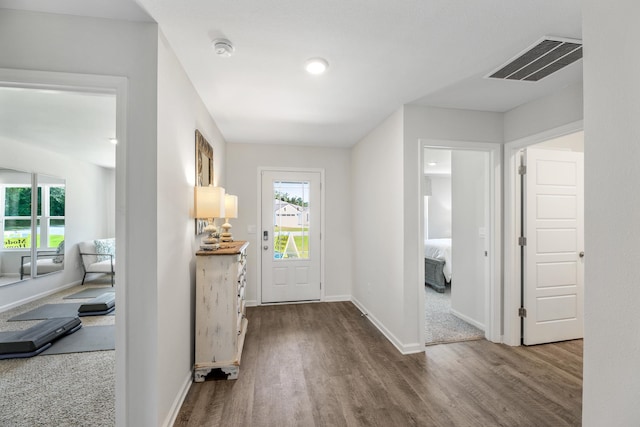 foyer entrance featuring hardwood / wood-style flooring