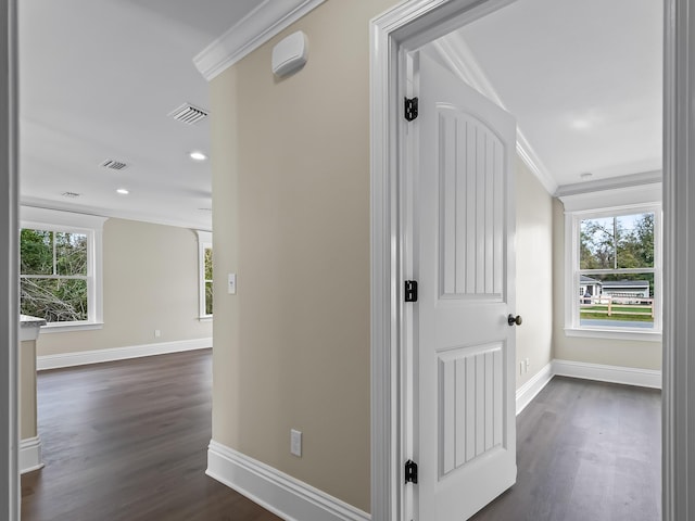 corridor featuring crown molding and dark wood-type flooring