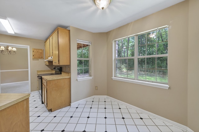 11022 Wildlife Trl, Tallahassee, FL 32312 - kitchen featuring electric range, plenty of natural light, light countertops, and light floors