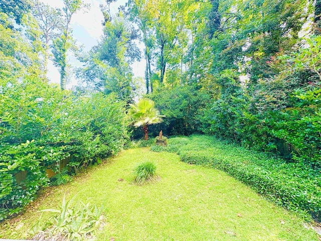 2910 Cross Creek Ct, Tallahassee, FL 32311 - photo 20