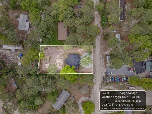 2539 Tiny Leaf Rd, Tallahassee, FL 32305 - photo 8