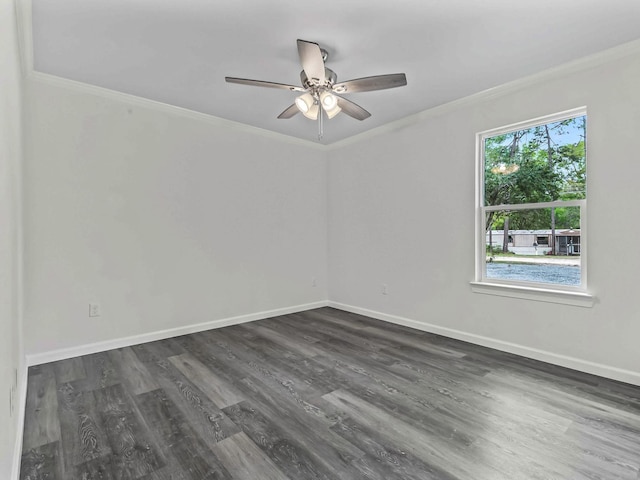 2539 Tiny Leaf Rd, Tallahassee, FL 32305 - photo 36