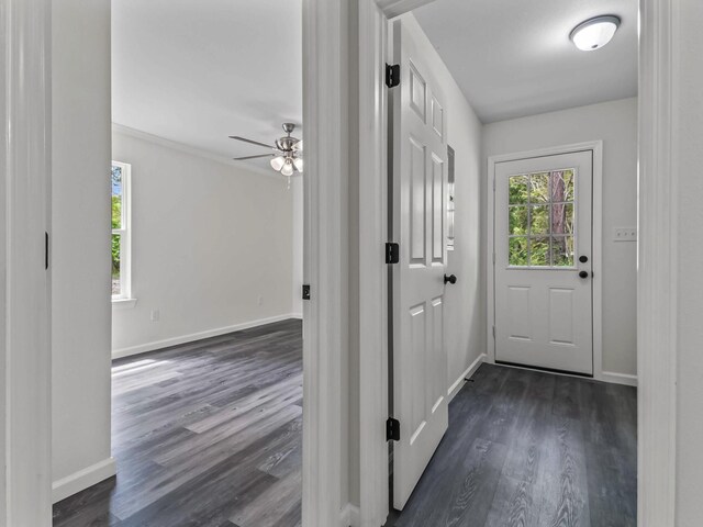 2539 Tiny Leaf Rd, Tallahassee, FL 32305 - photo 23