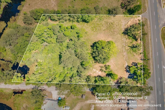 5832 W Tennessee St, Tallahassee, FL 32304 - photo 14