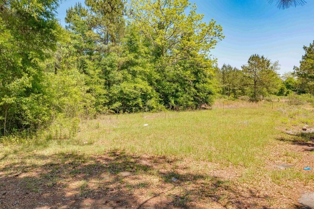 5832 W Tennessee St, Tallahassee, FL 32304 - photo 28