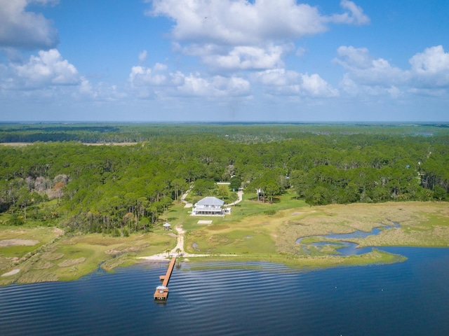 170 Levy Bay Rd, Panacea, FL 32346 - photo 30