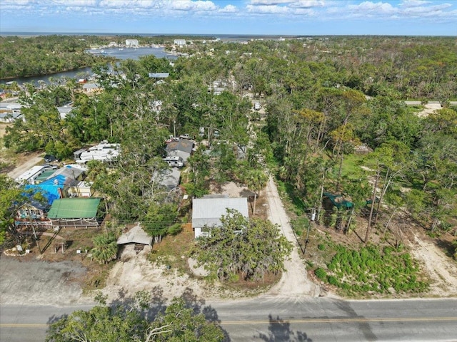 209 SE 10th St, Steinhatchee, FL 32359 - bird's eye view of a large body of water and a forest