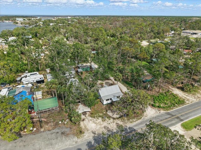 209 SE 10th St, Steinhatchee, FL 32359 - view of property location with nearby suburban area