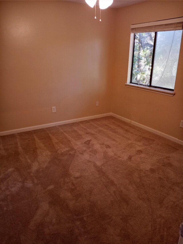 2441 Talco Hills Dr Unit C, Tallahassee, FL 32303 - empty room with carpet flooring