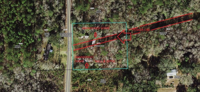 874 Flatwoods Rd, Monticello, FL 32344 - photo 8