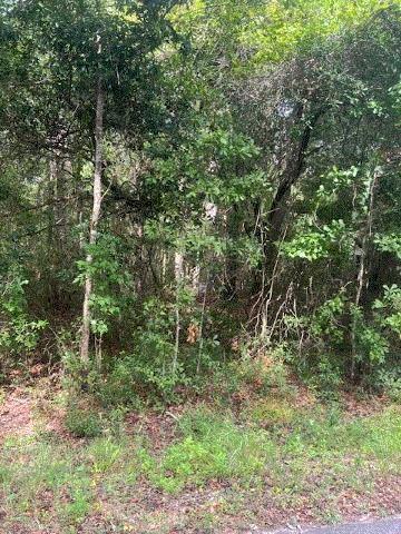 874 Flatwoods Rd, Monticello, FL 32344 - photo 5