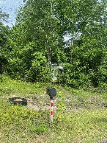 874 Flatwoods Rd, Monticello, FL 32344 - photo 3