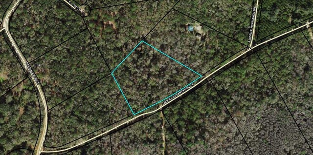 TBD Aucilla Plantation Court, Greenville FL, 32331 land for sale