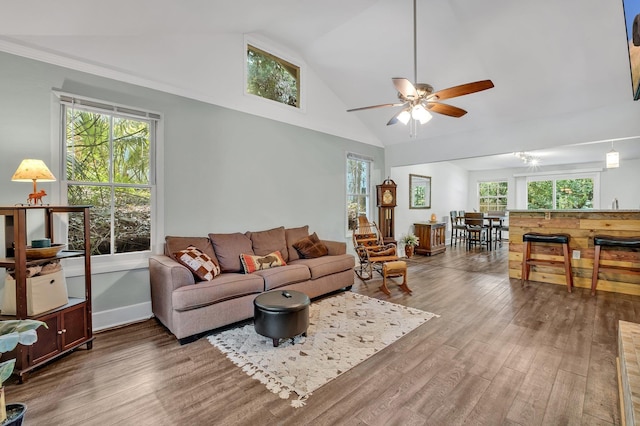 living room featuring ceiling fan, wood-type flooring, and high vaulted ceiling