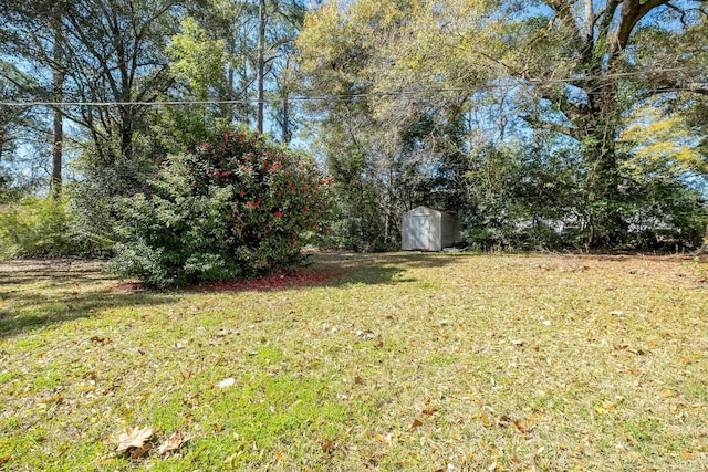 view of yard with a storage shed and an outdoor structure