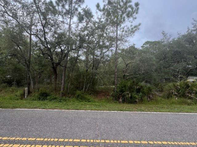 149 Levy Bay Rd, Panacea, FL 32346 - photo 4