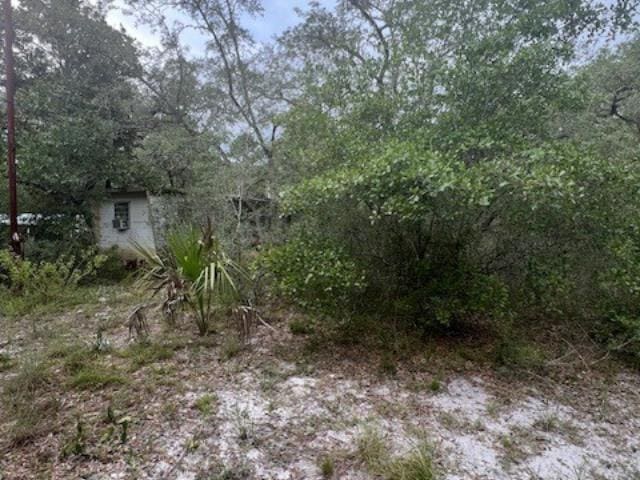 149 Levy Bay Rd, Panacea, FL 32346 - photo 2