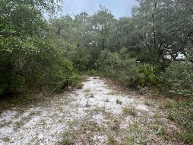 149 Levy Bay Rd, Panacea, FL 32346 - photo 3