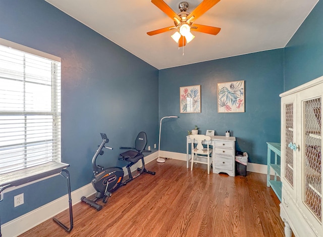 office space featuring hardwood / wood-style floors and ceiling fan