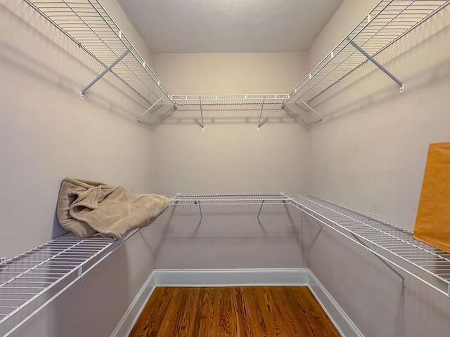 walk in closet featuring wood-type flooring