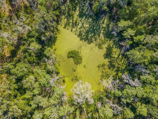 2971 E US-27, Perry, FL 32347