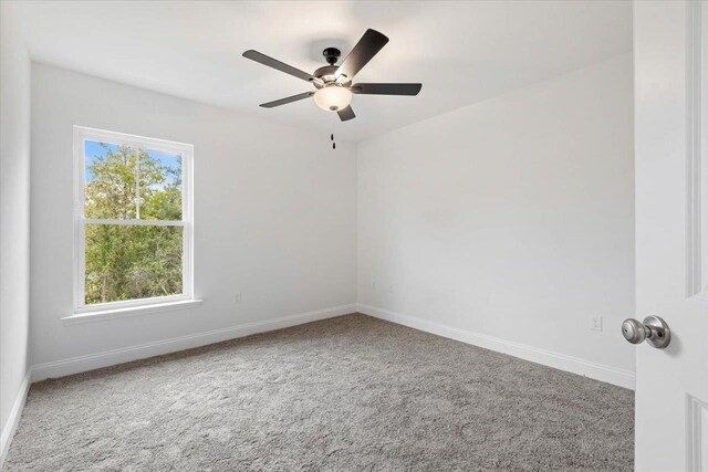2376 Mystic Pl, Tallahassee, FL 32311 - photo 37
