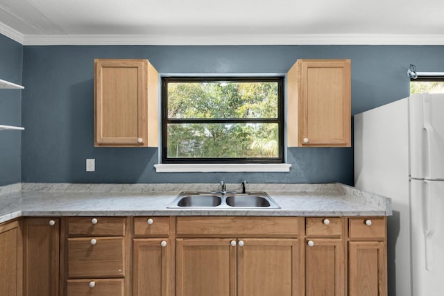 kitchen featuring sink, crown molding, a healthy amount of sunlight, and white fridge