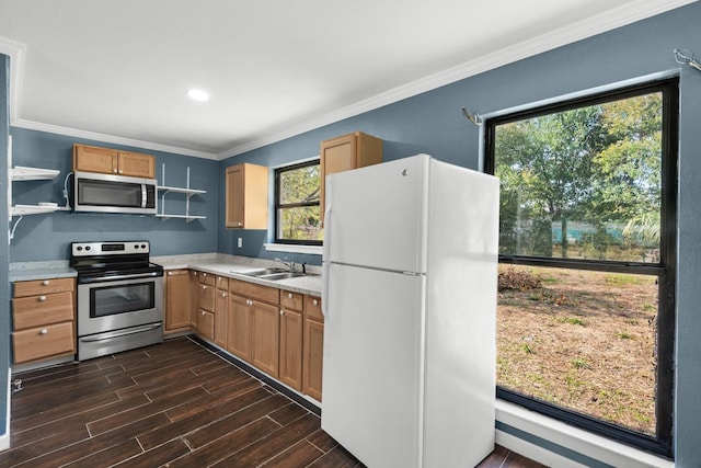 kitchen featuring sink, crown molding, and appliances with stainless steel finishes