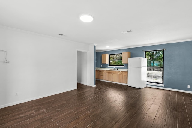 unfurnished living room featuring sink, ornamental molding, and dark hardwood / wood-style floors