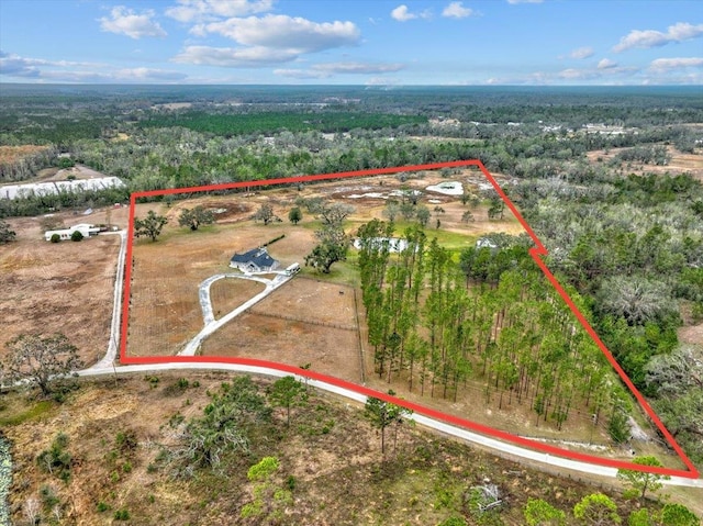 7087 Valhalla Ranch Dr, Perry, FL 32348 - aerial view of property's location with property boundaries highlighted and a forest