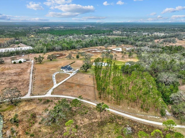 7087 Valhalla Ranch Dr, Perry, FL 32348 - aerial overview of property's location featuring a forest