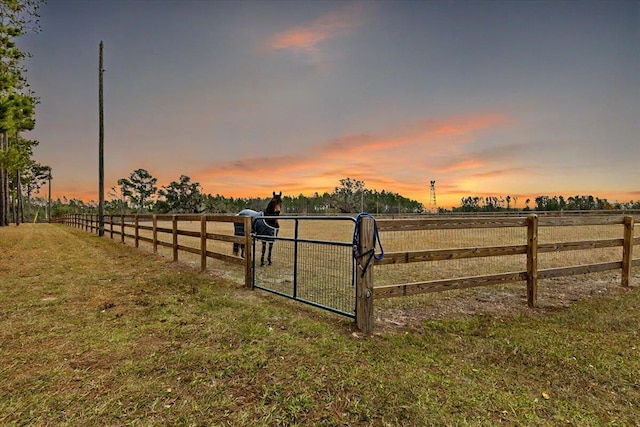 7087 Valhalla Ranch Dr, Perry, FL 32348 - yard at dusk with a rural view