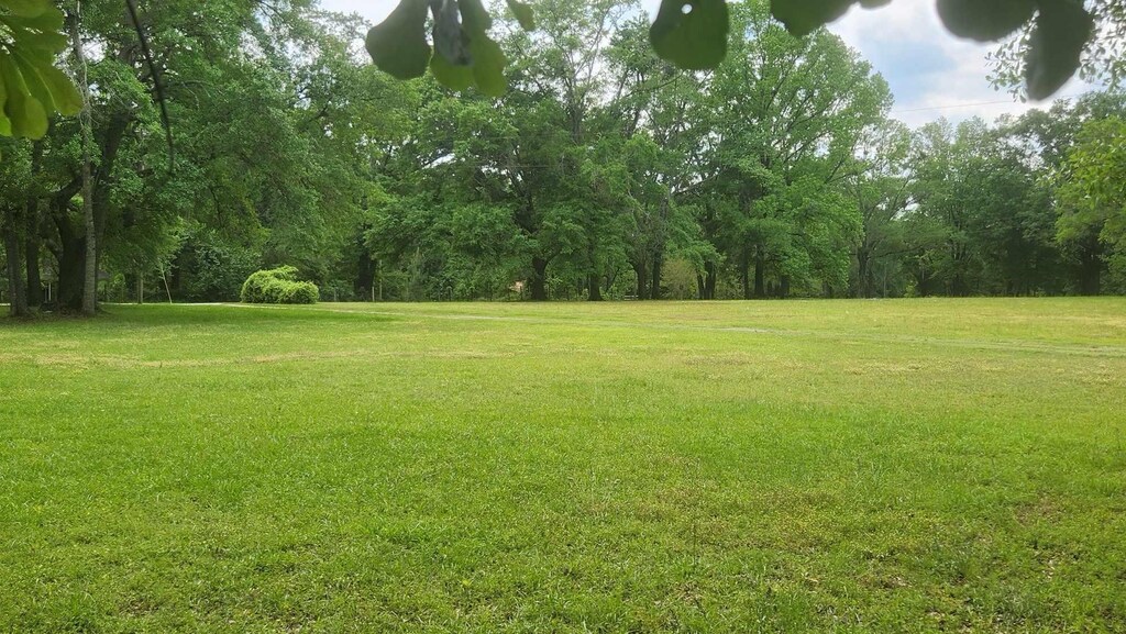 11072 Tung Grove Rd, Tallahassee, FL 32317 - view of yard featuring a wooded view