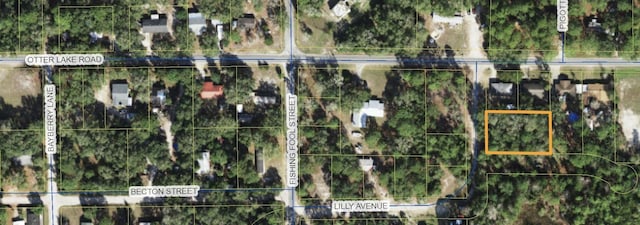 XX Lilly Ave, Panacea FL, 32346 land for sale