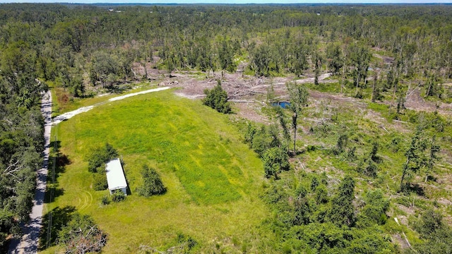 1217 SW Caleb Ave, Madison, FL 32340 - photo 2