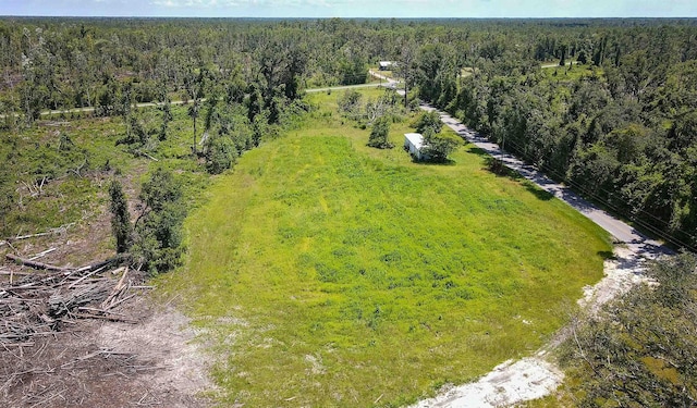 1217 SW Caleb Ave, Madison, FL 32340 - photo 13