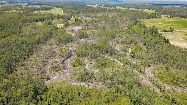 1217 SW Caleb Ave, Madison, FL 32340 - photo 4