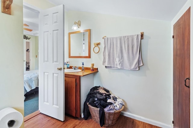 bathroom with vanity and wood-type flooring