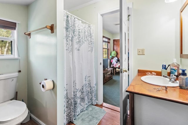 bathroom featuring hardwood / wood-style flooring, vanity, and toilet